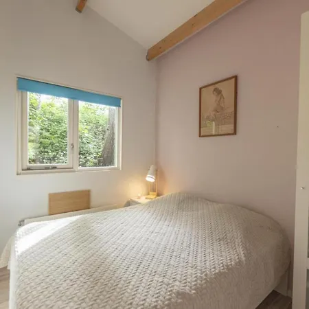 Prinsenhof 62 - אאודורפ