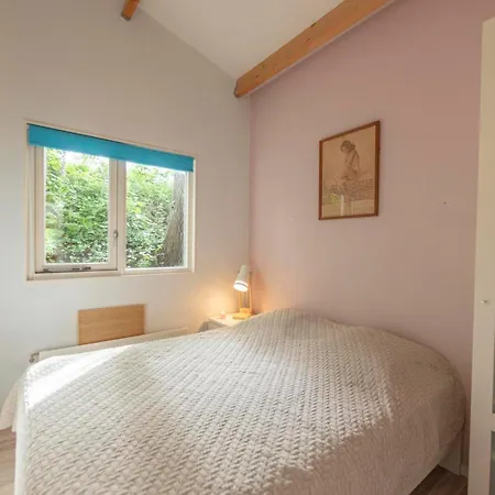 בית נופש Prinsenhof 62 -